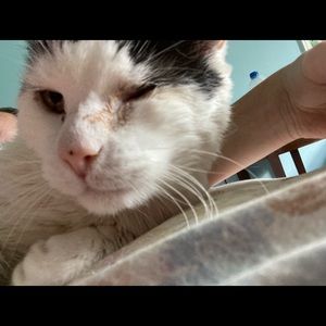 Meet your Posher, Willliam